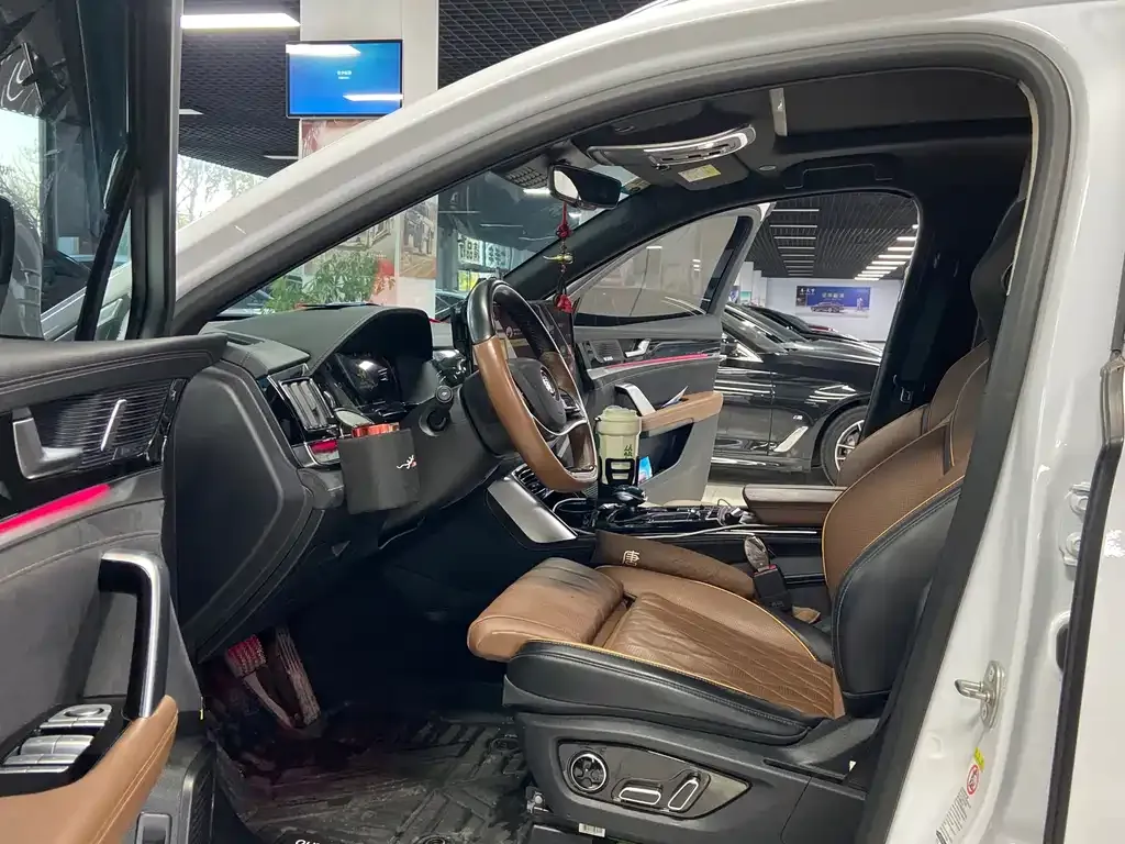 BYD Tang New Energy 2022 из CN, фото 8
