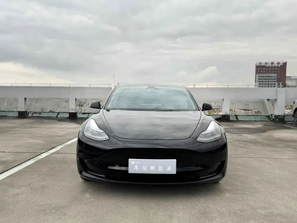 Tesla Model 3 2022 из CN, фото 2