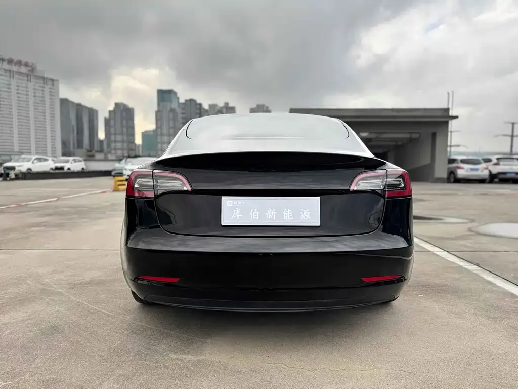 Tesla Model 3 2022 из CN, фото 3