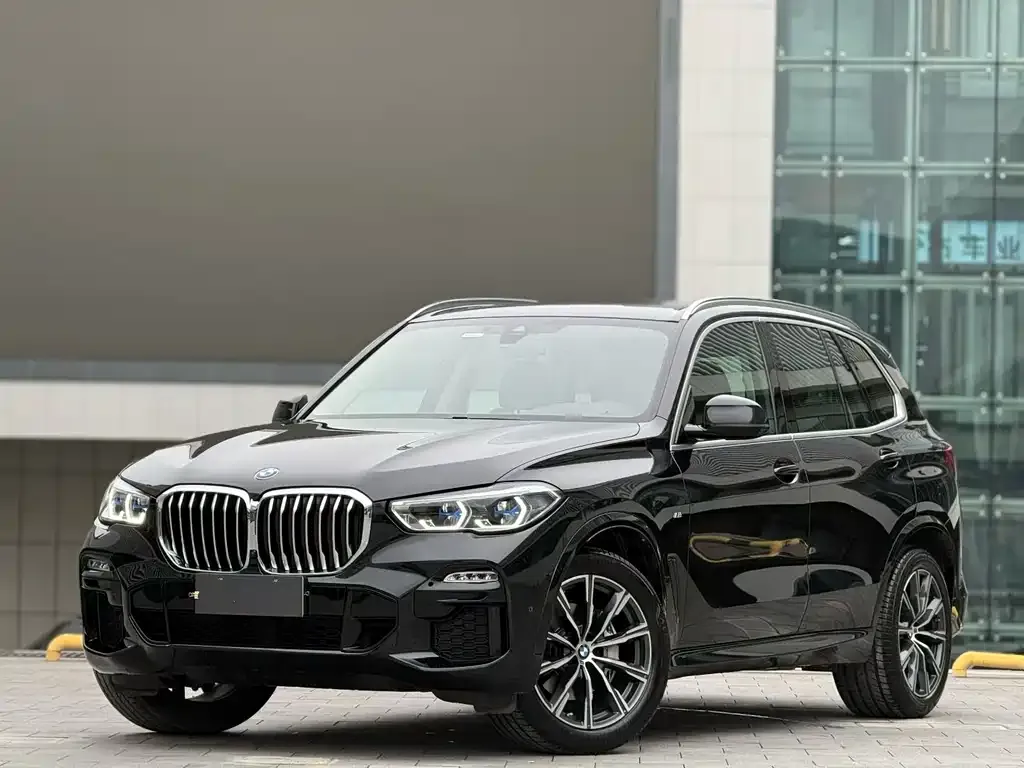 BMW X5 (Import) 2021 из CN, фото 1