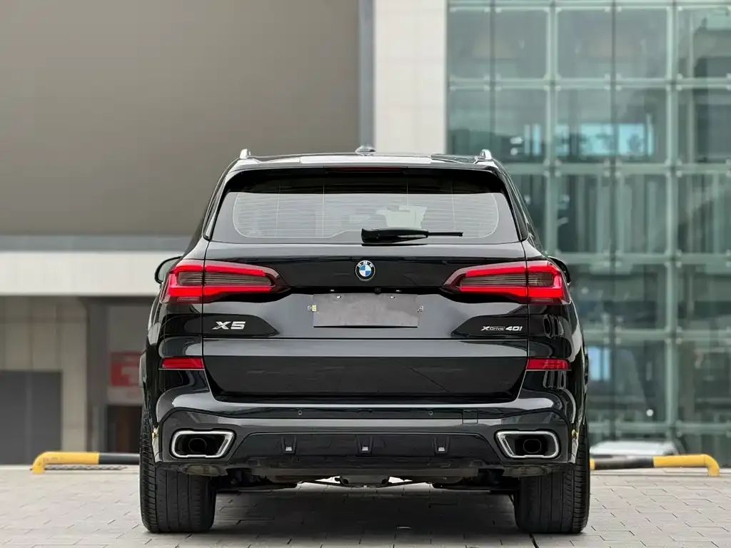 BMW X5 (Import) 2021 из CN, фото 9