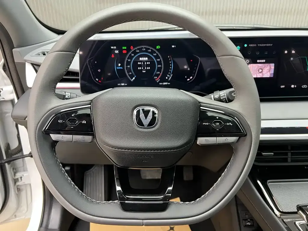 Changan Ruicheng PLUS 2025 из CN, фото 6