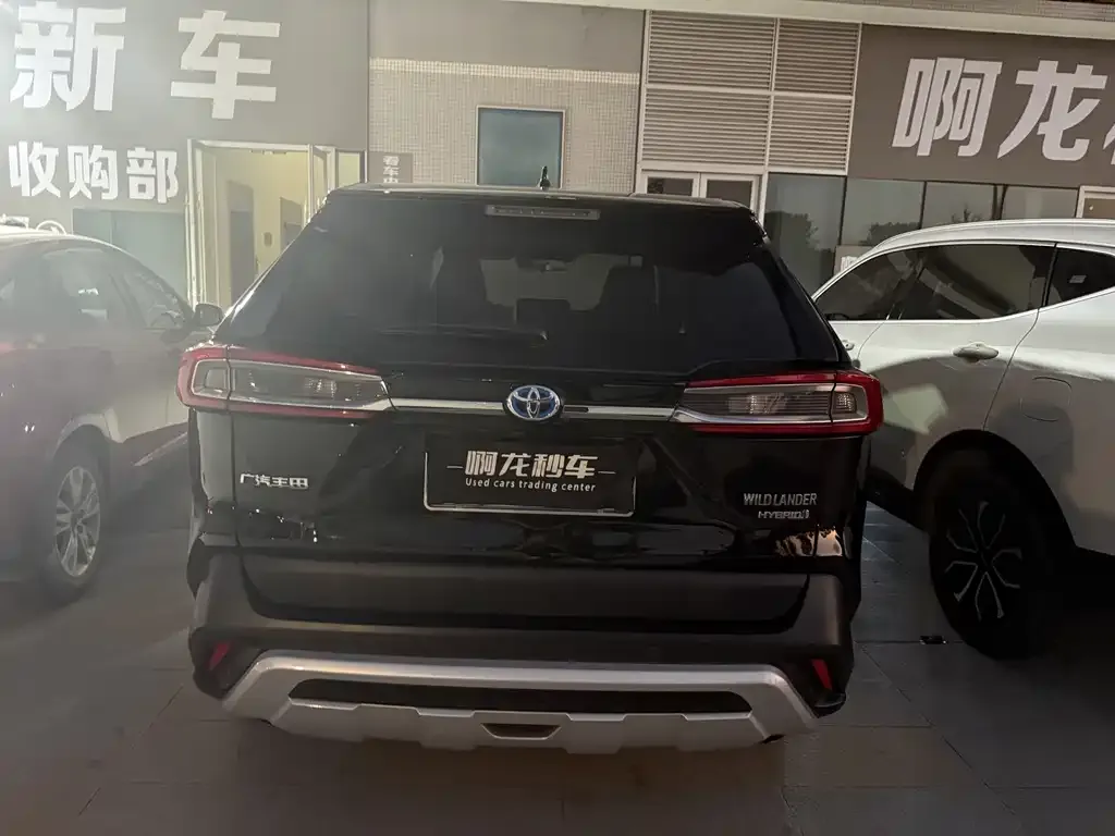 Toyota Wildlander 2021 из CN, фото 6