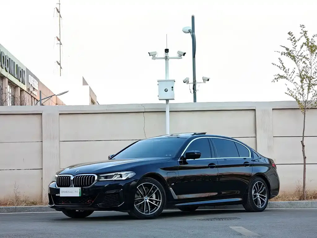 BMW 5 Series New Energy 2021 из CN, фото 1