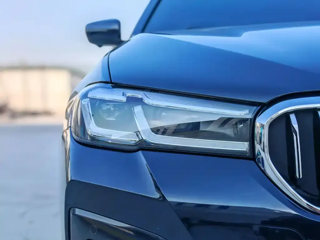 BMW 5 Series New Energy 2021 из CN, фото 10
