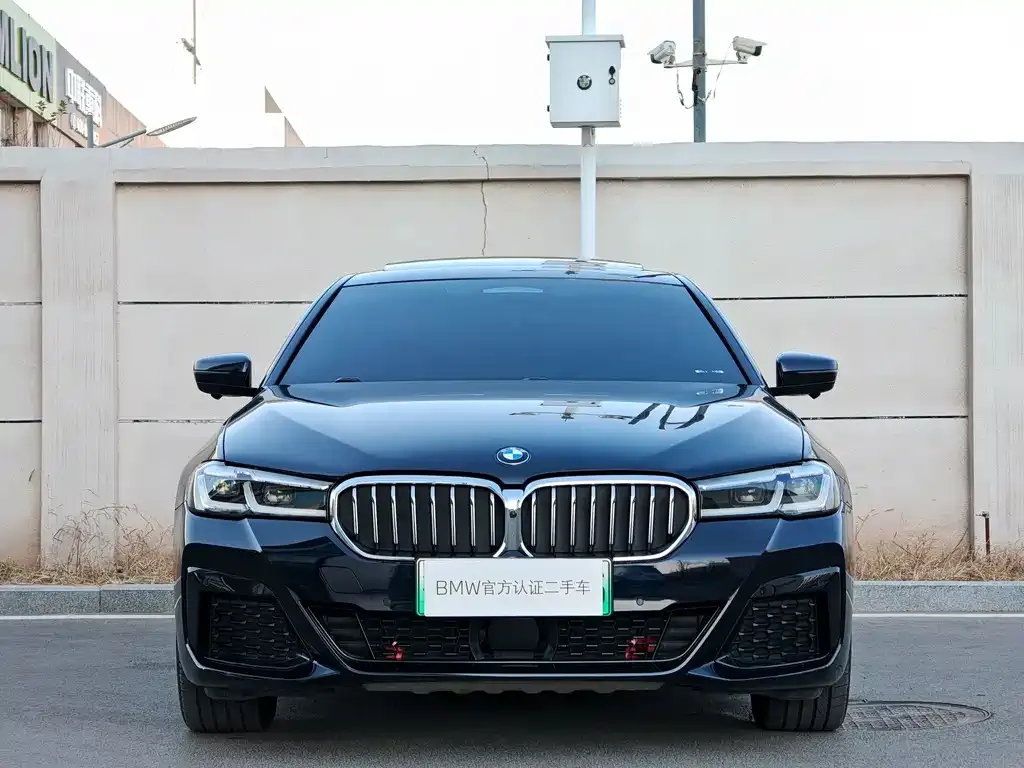 BMW 5 Series New Energy 2021 из CN, фото 2