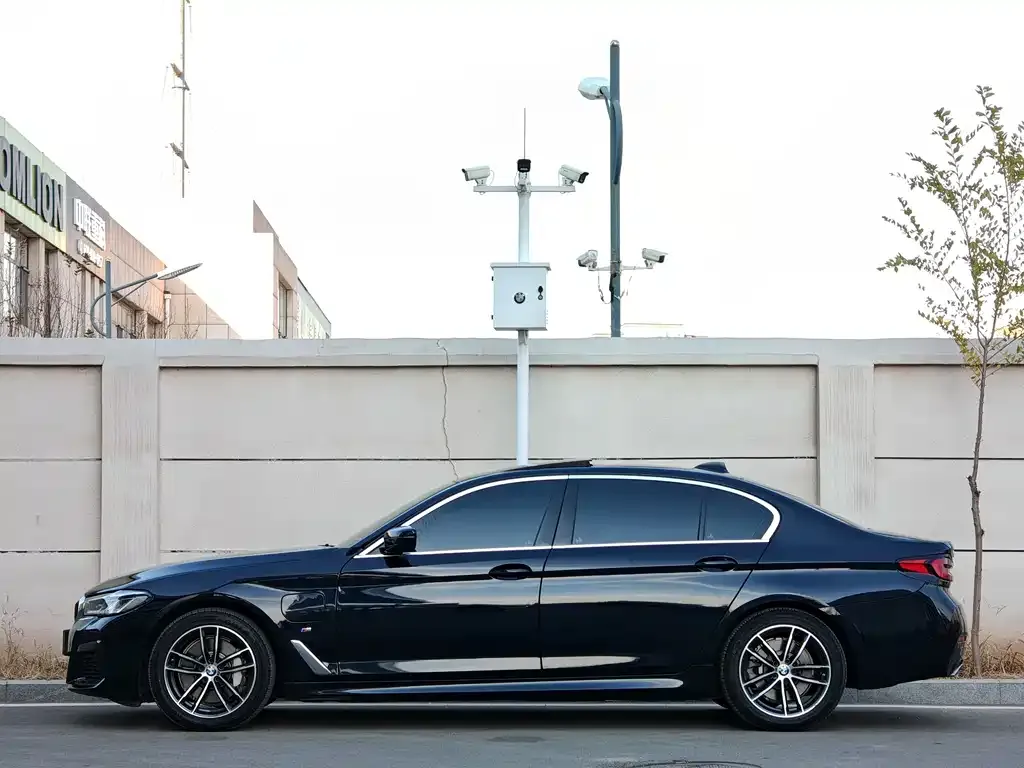 BMW 5 Series New Energy 2021 из CN, фото 3