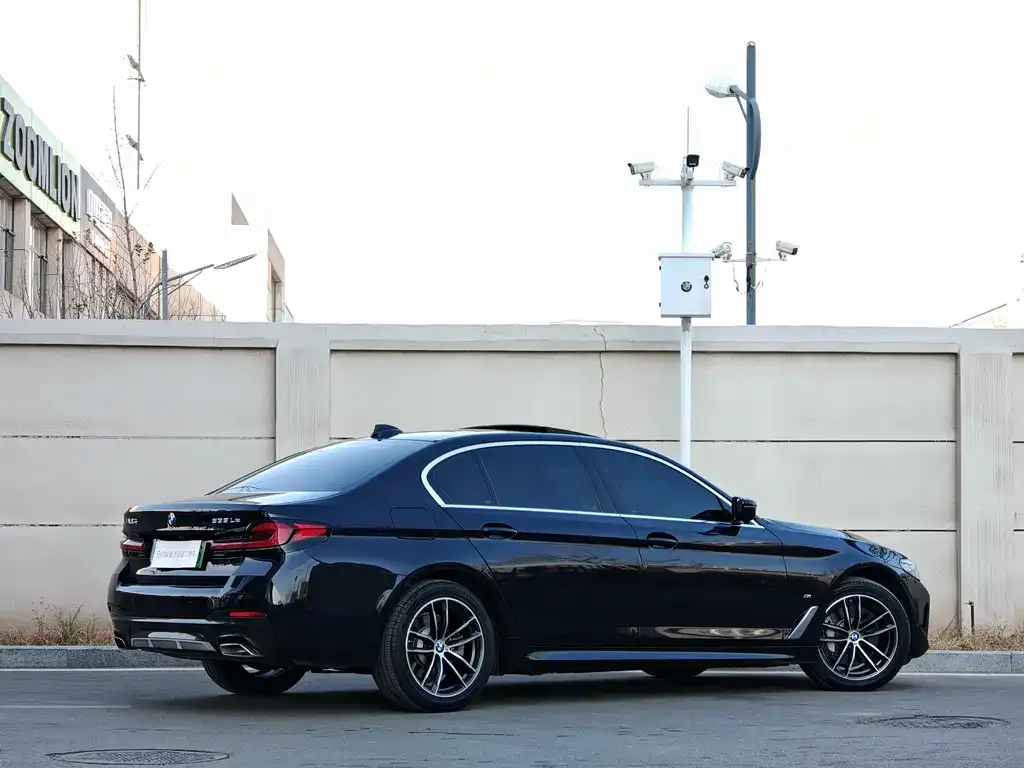 BMW 5 Series New Energy 2021 из CN, фото 4