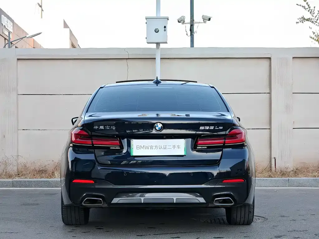 BMW 5 Series New Energy 2021 из CN, фото 5