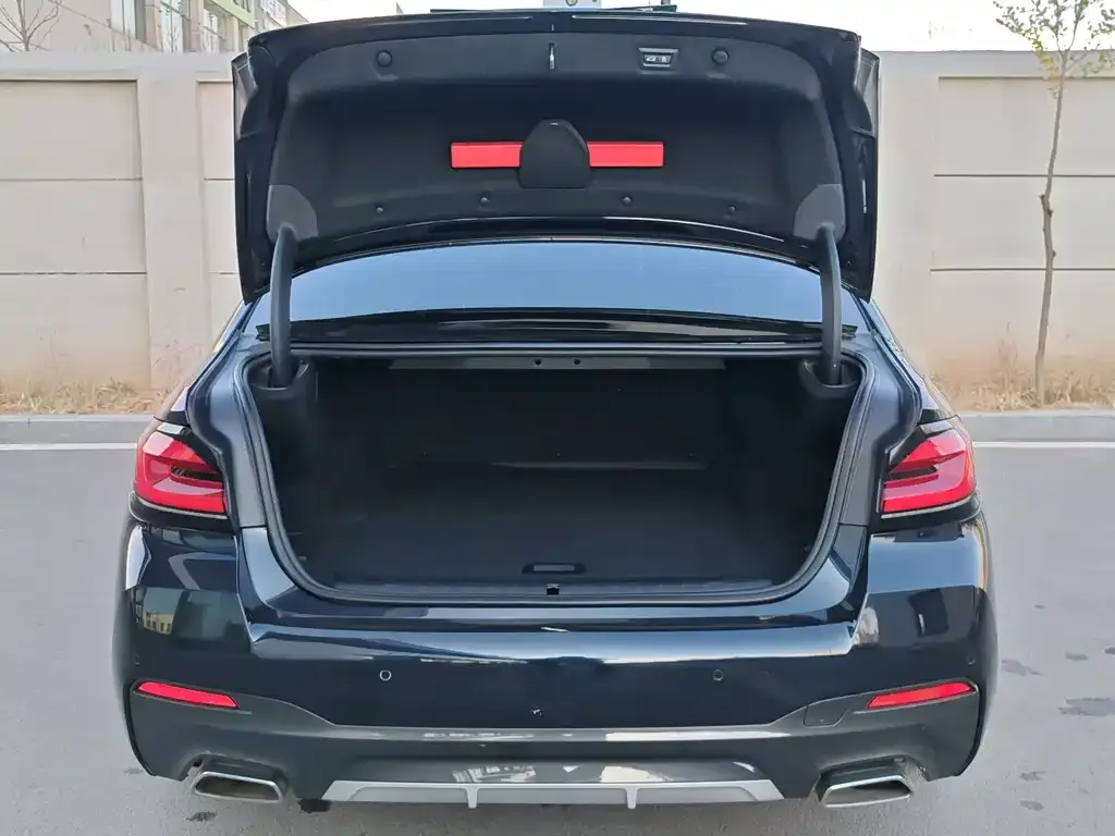 BMW 5 Series New Energy 2021 из CN, фото 7