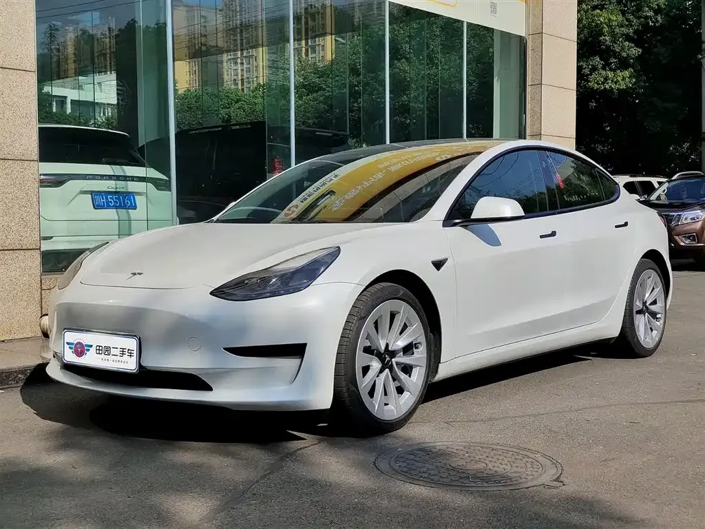 Tesla Model 3 2021 из CN, фото 1