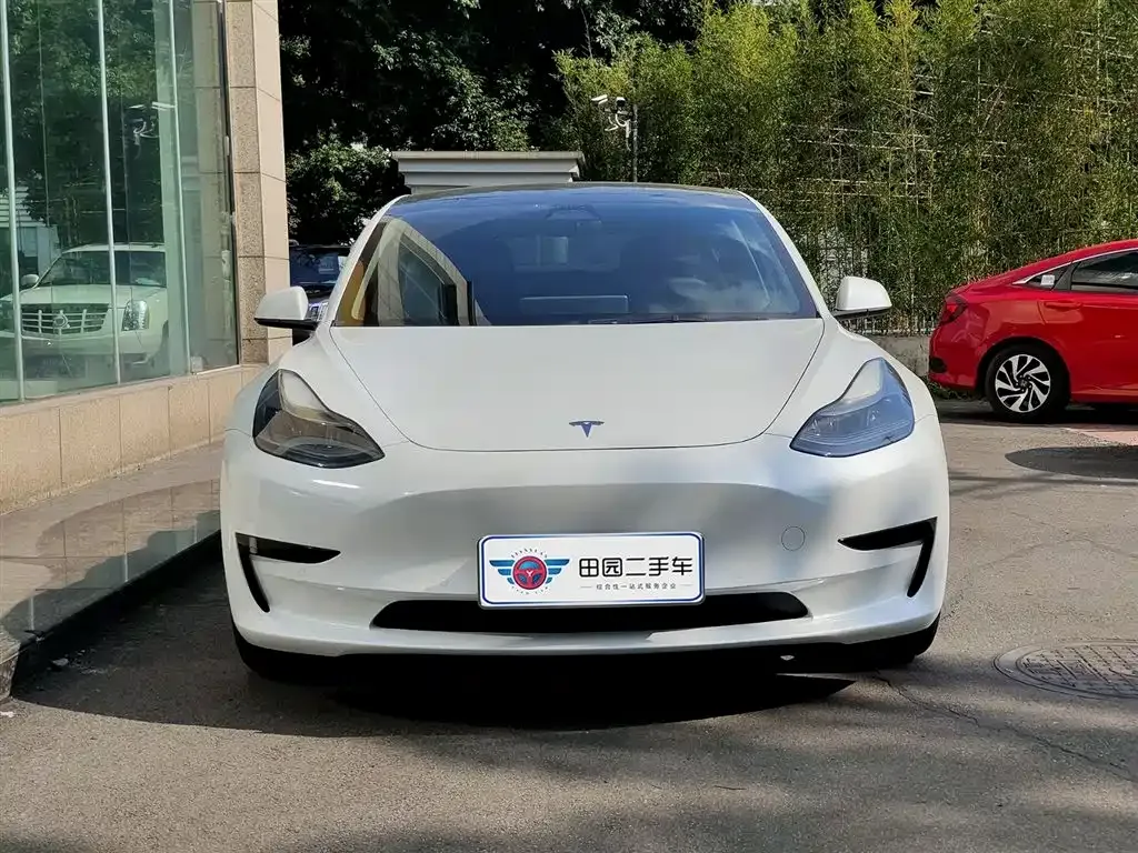 Tesla Model 3 2021 из CN, фото 2