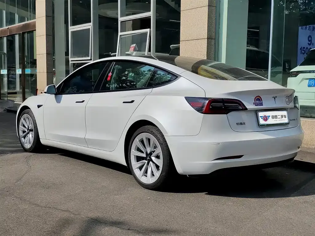 Tesla Model 3 2021 из CN, фото 4