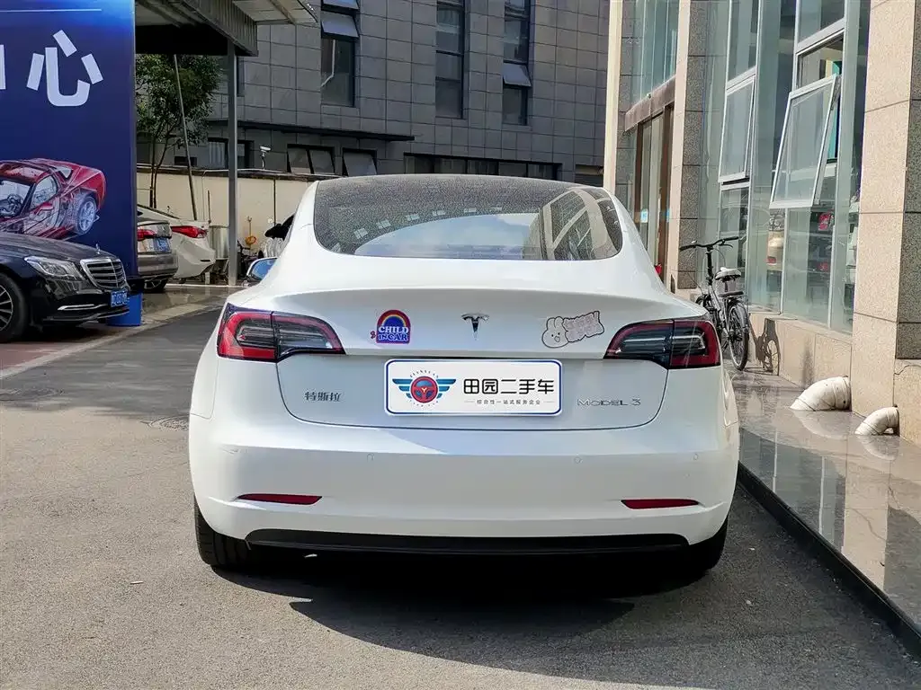 Tesla Model 3 2021 из CN, фото 5