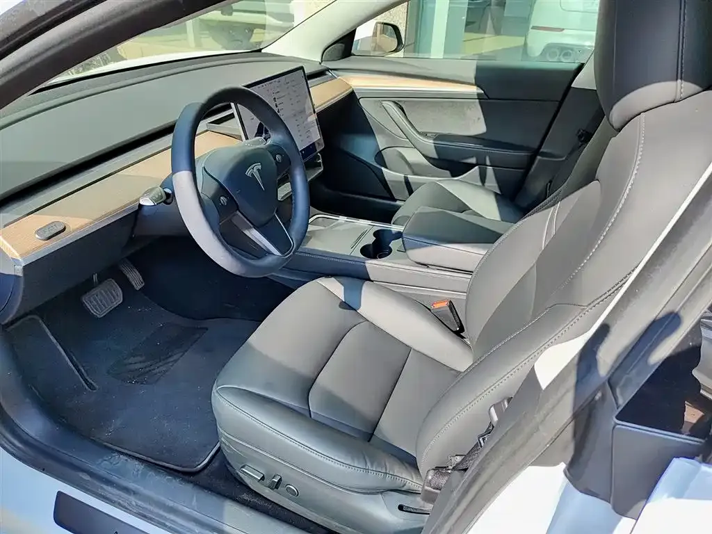 Tesla Model 3 2021 из CN, фото 7