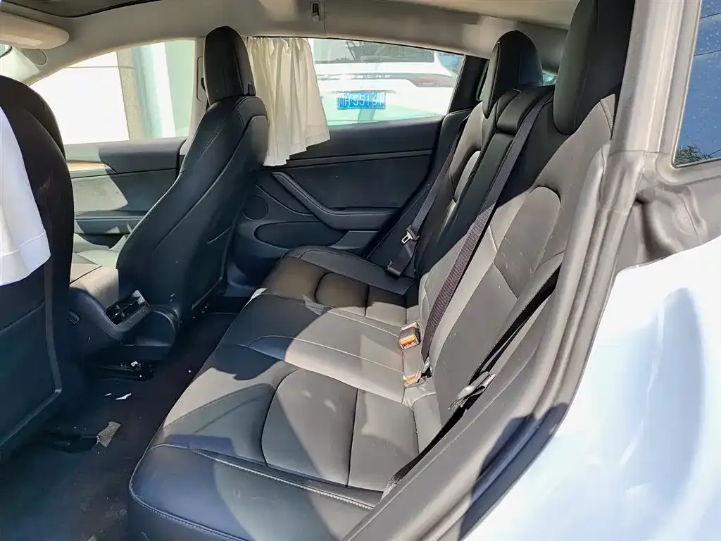 Tesla Model 3 2021 из CN, фото 8