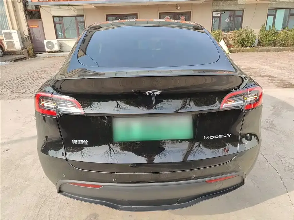 Tesla Model Y 2024 из CN, фото 6