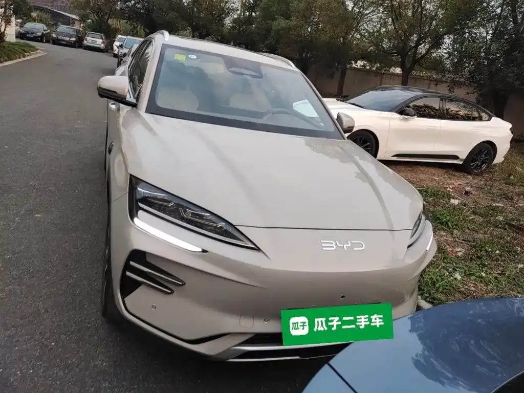 BYD PLUS New Energy 2025 из CN, фото 3