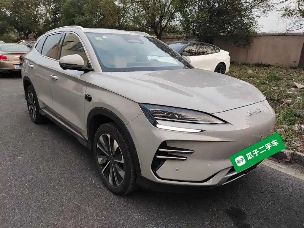 BYD PLUS New Energy 2025 из CN, фото 4