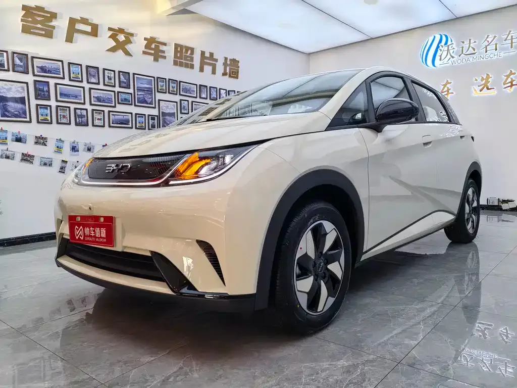 BYD Dolphin 2025 из CN, фото 1