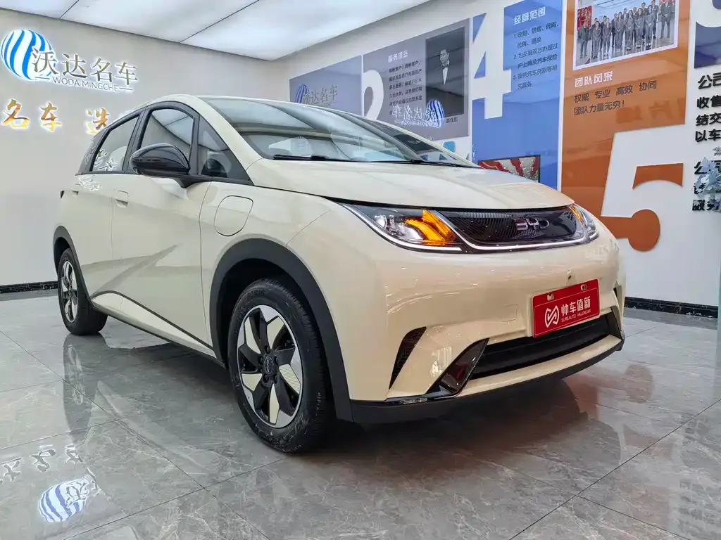 BYD Dolphin 2025 из CN, фото 2