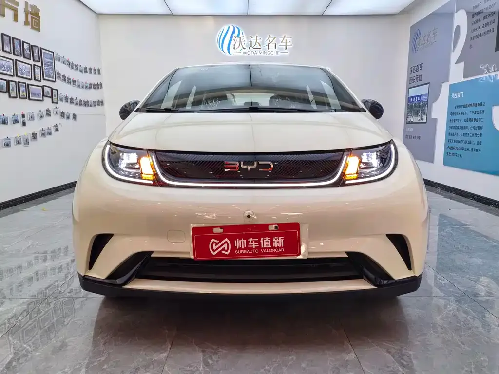 BYD Dolphin 2025 из CN, фото 3