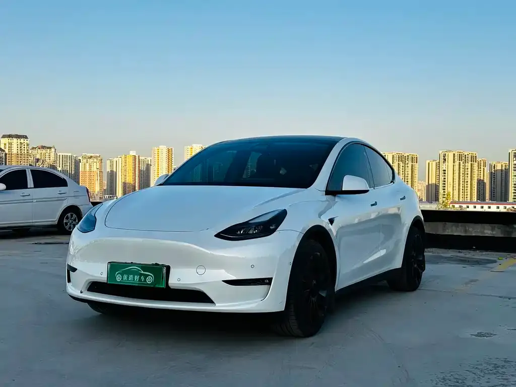 Tesla Model Y 2022 из CN, фото 1