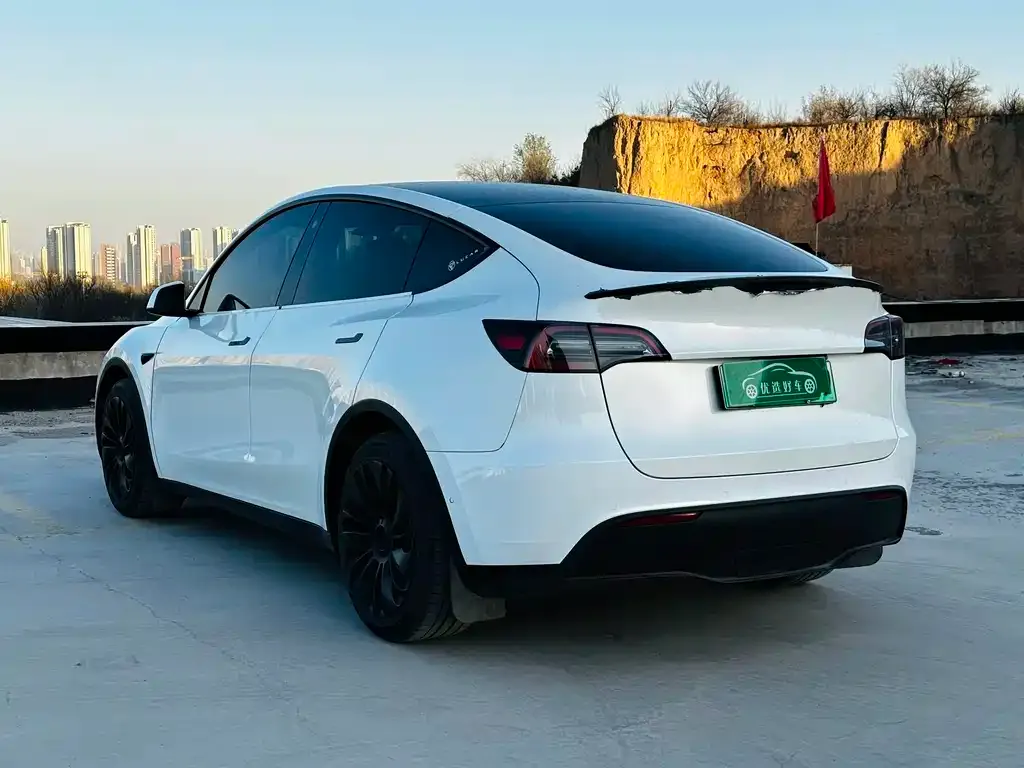 Tesla Model Y 2022 из CN, фото 5