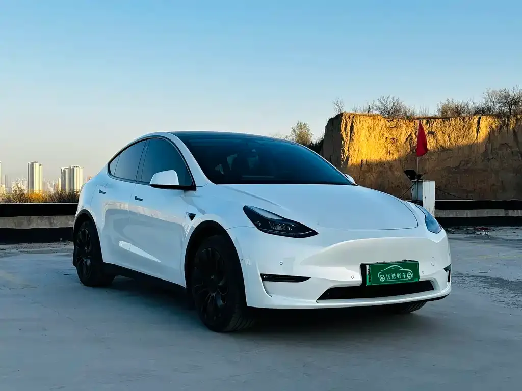 Tesla Model Y 2022 из CN, фото 6