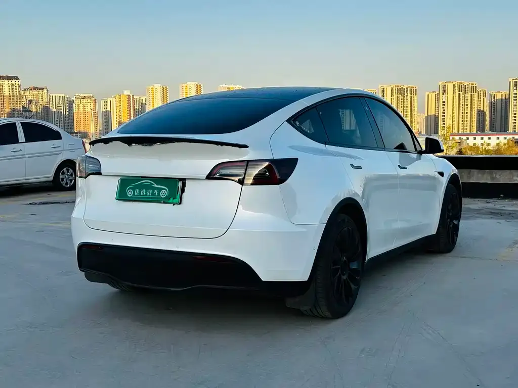Tesla Model Y 2022 из CN, фото 7