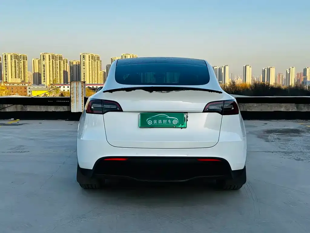 Tesla Model Y 2022 из CN, фото 8