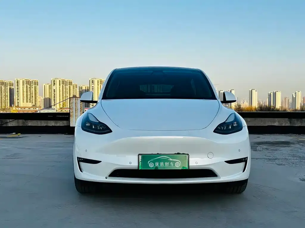 Tesla Model Y 2022 из CN, фото 9