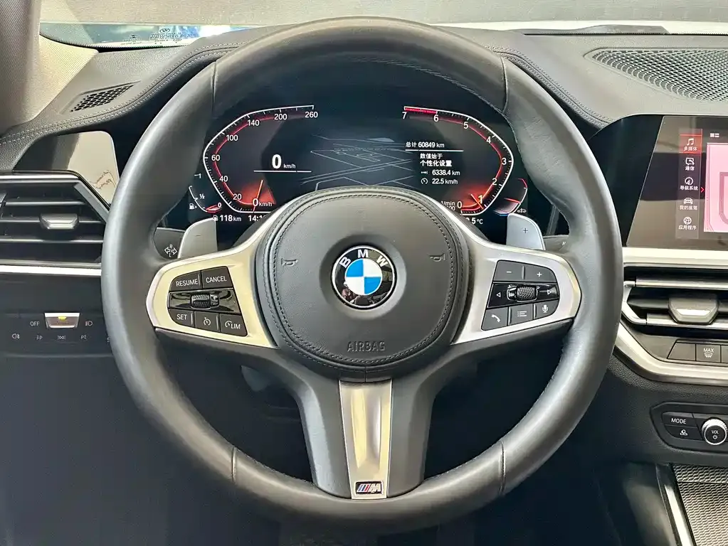 BMW 3 Series 2021 из CN, фото 10