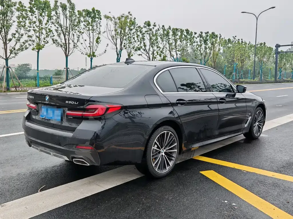BMW 5 Series 2024 из CN, фото 10