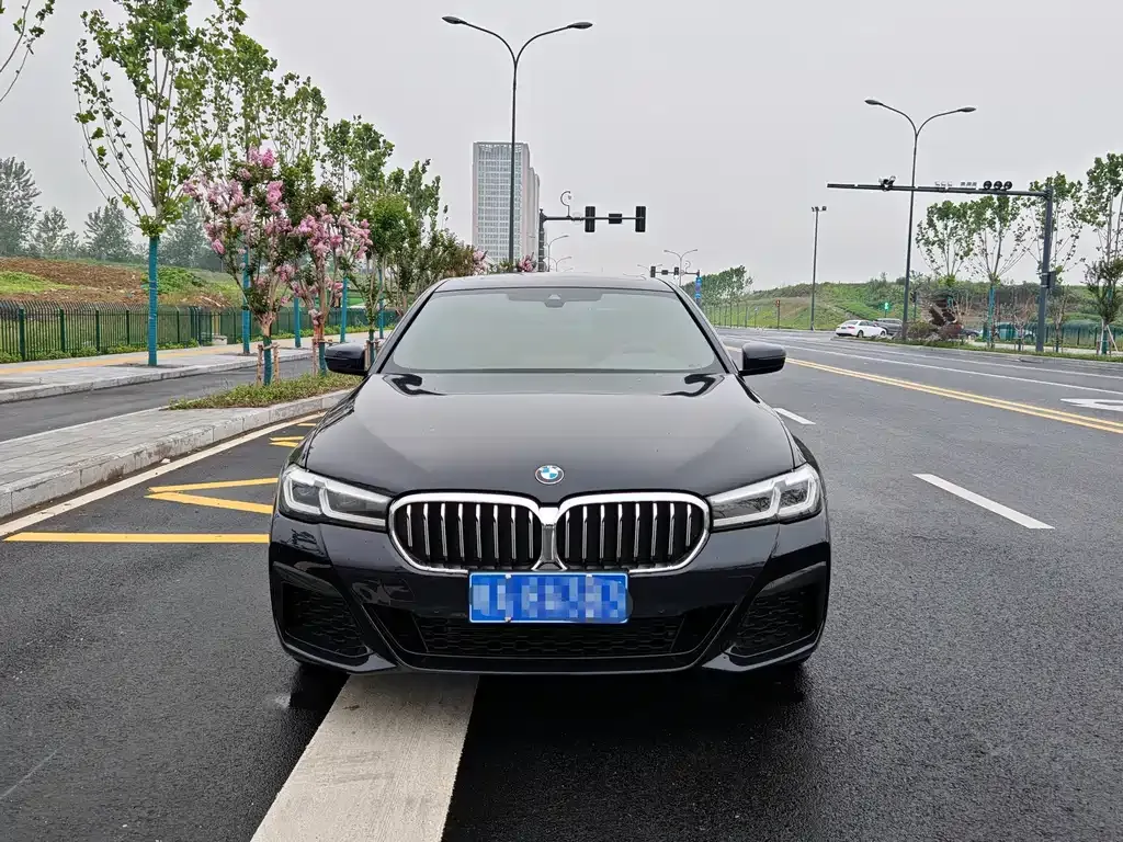BMW 5 Series 2024 из CN, фото 2