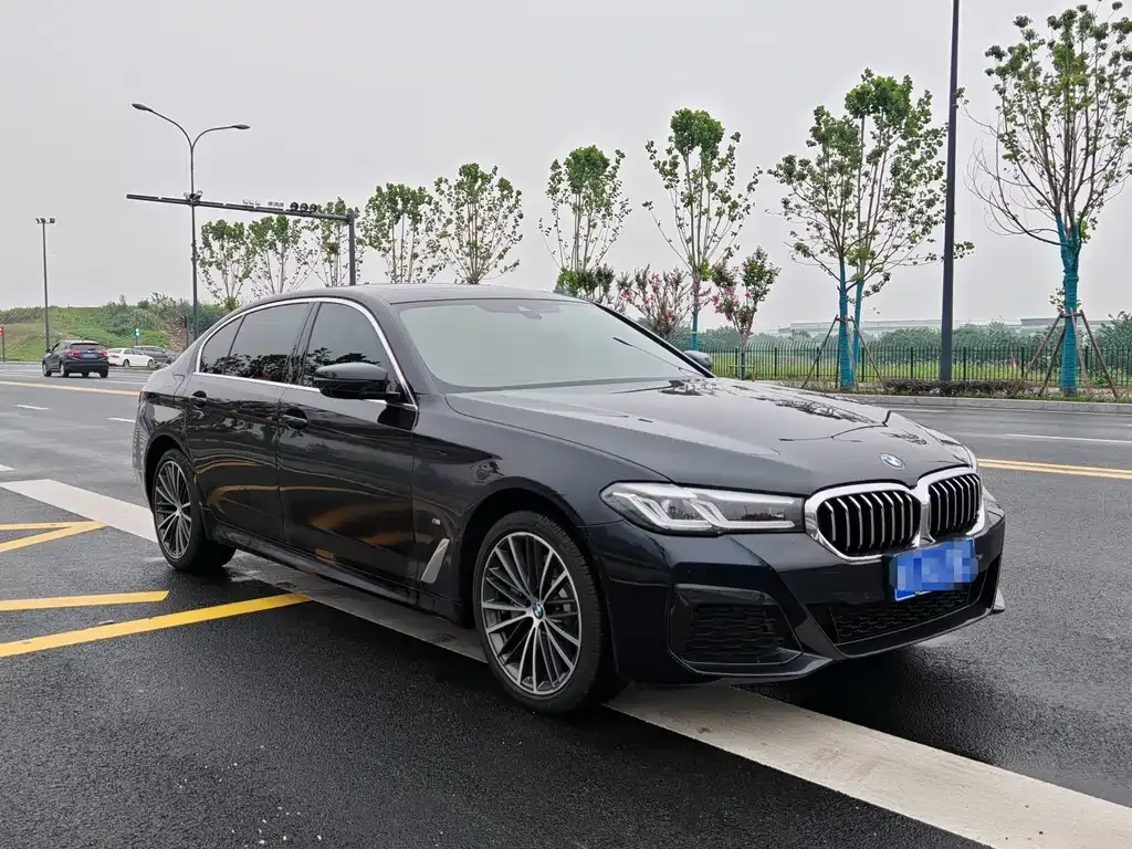 BMW 5 Series 2024 из CN, фото 3
