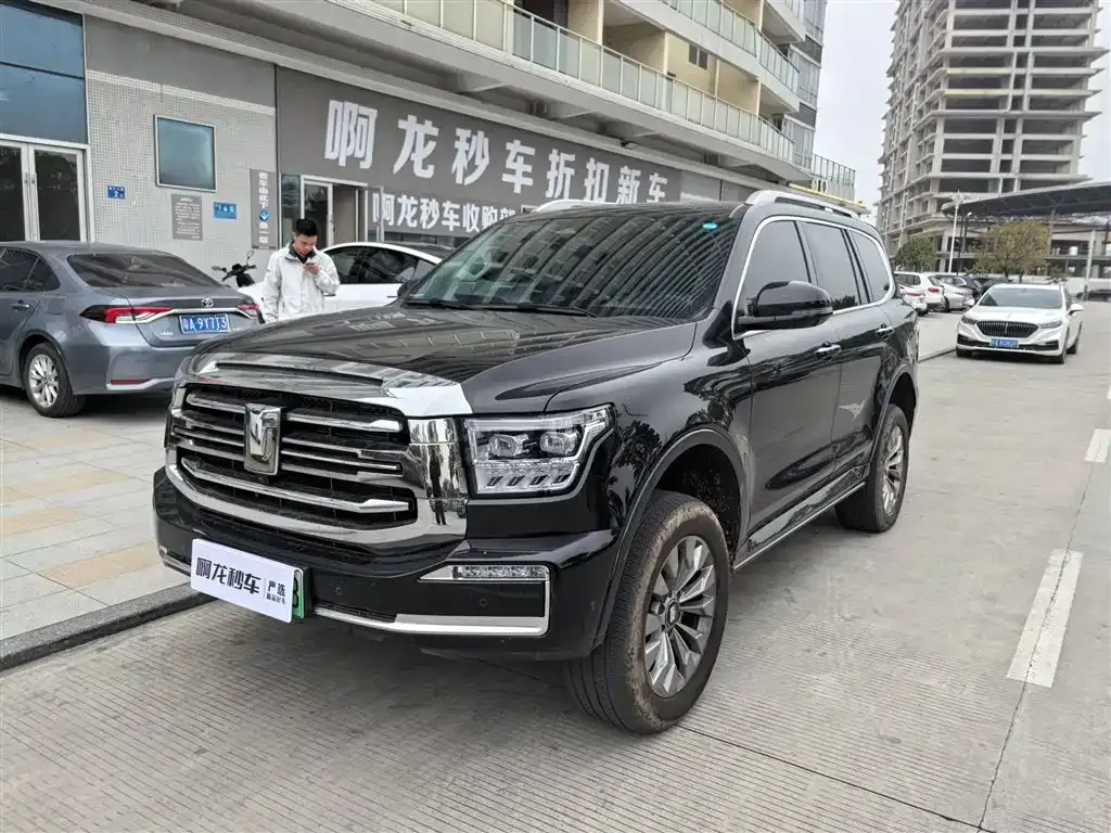 Tank 500 New Energy 2024 из CN, фото 1