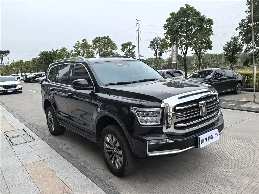 Tank 500 New Energy 2024 из CN, фото 3