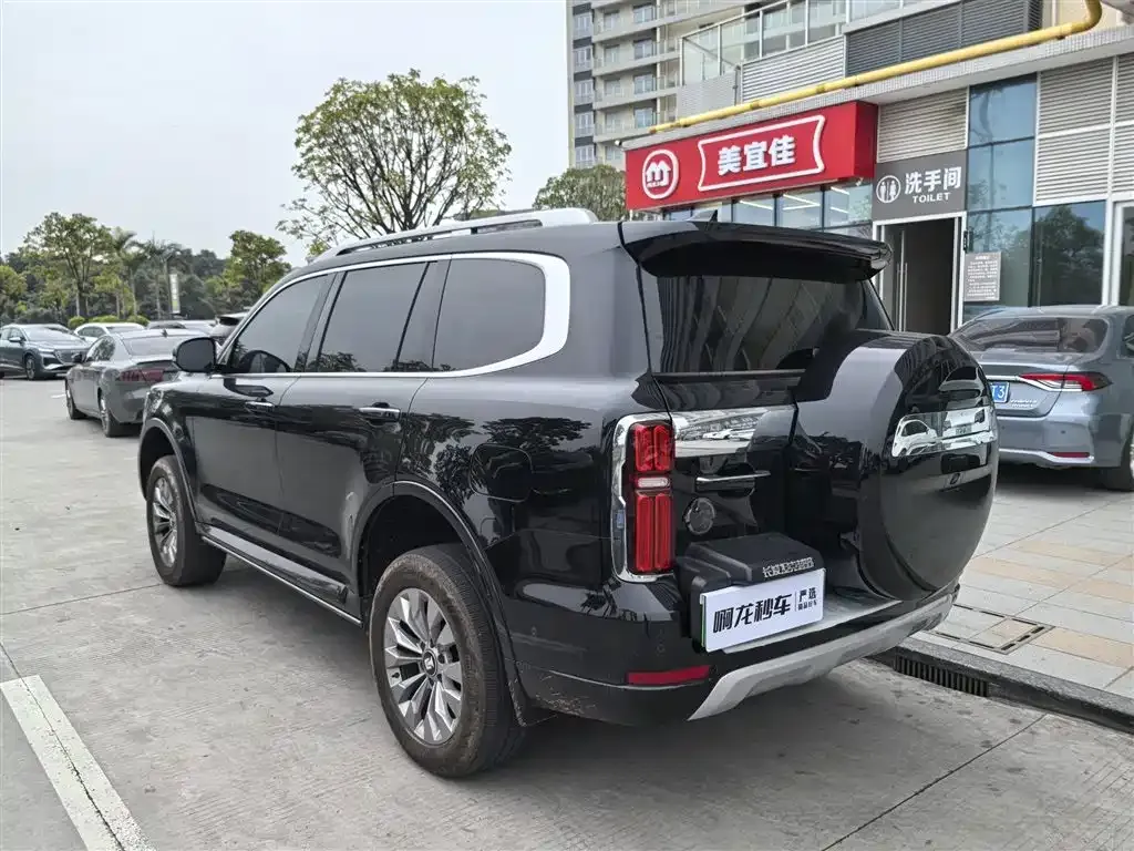 Tank 500 New Energy 2024 из CN, фото 8