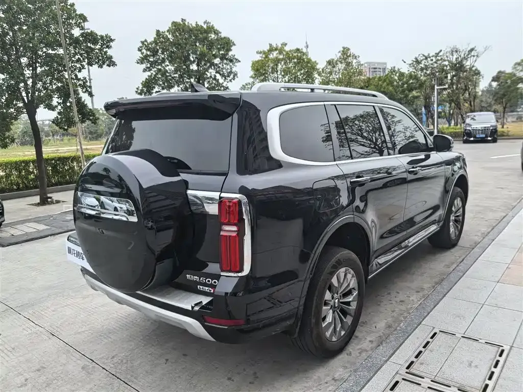 Tank 500 New Energy 2024 из CN, фото 9