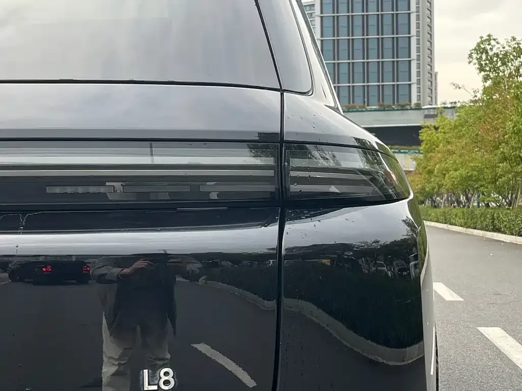 Li Auto L8 2023 из CN, фото 8