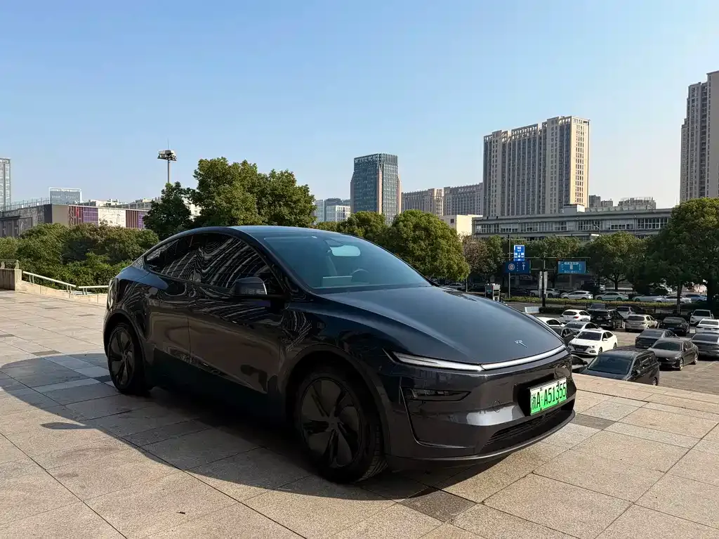 Tesla Model Y — фото 2