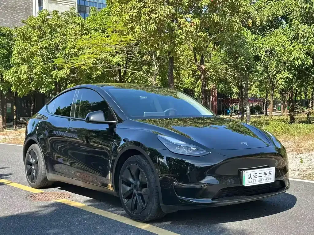 Tesla Model Y 2023 из CN, фото 3