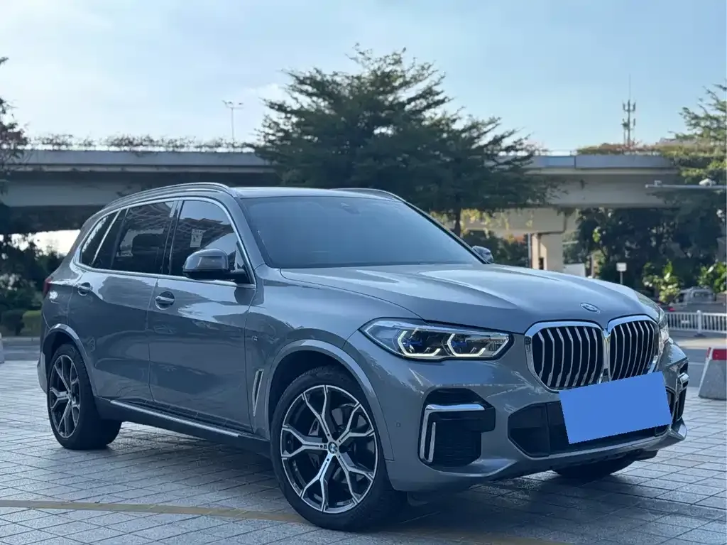 BMW X5 2023 из CN, фото 2