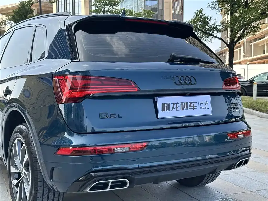 Audi Q5L 2023 из CN, фото 9