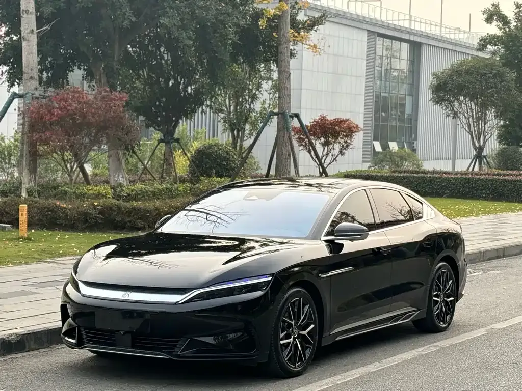 BYD Han — фото 1