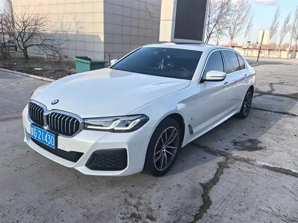 BMW 5 Series 2022 из CN, фото 1