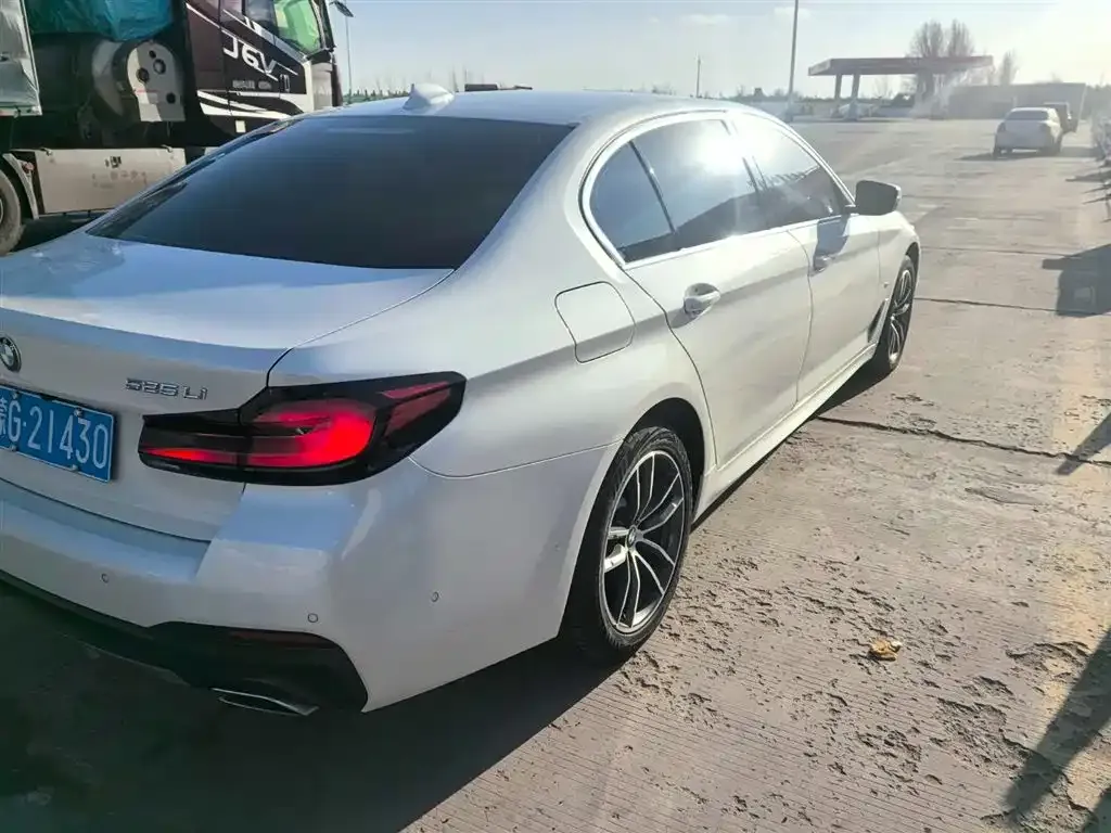 BMW 5 Series 2022 из CN, фото 10