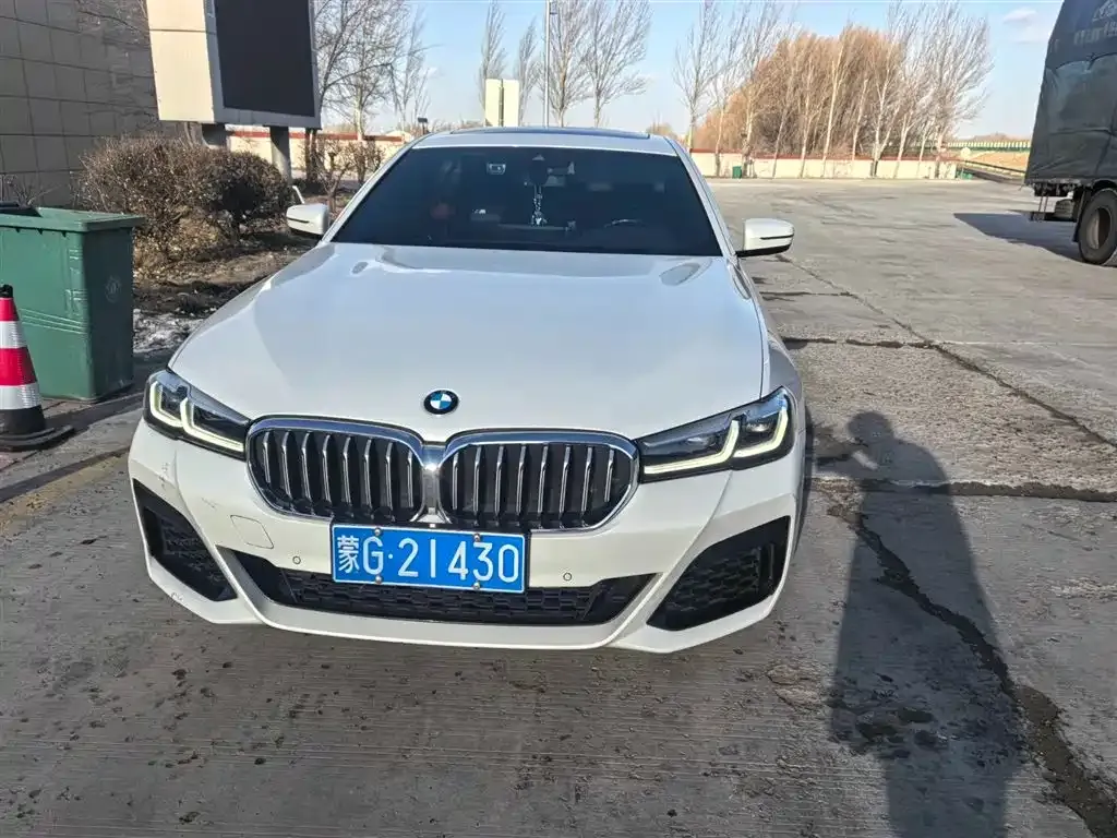 BMW 5 Series 2022 из CN, фото 2