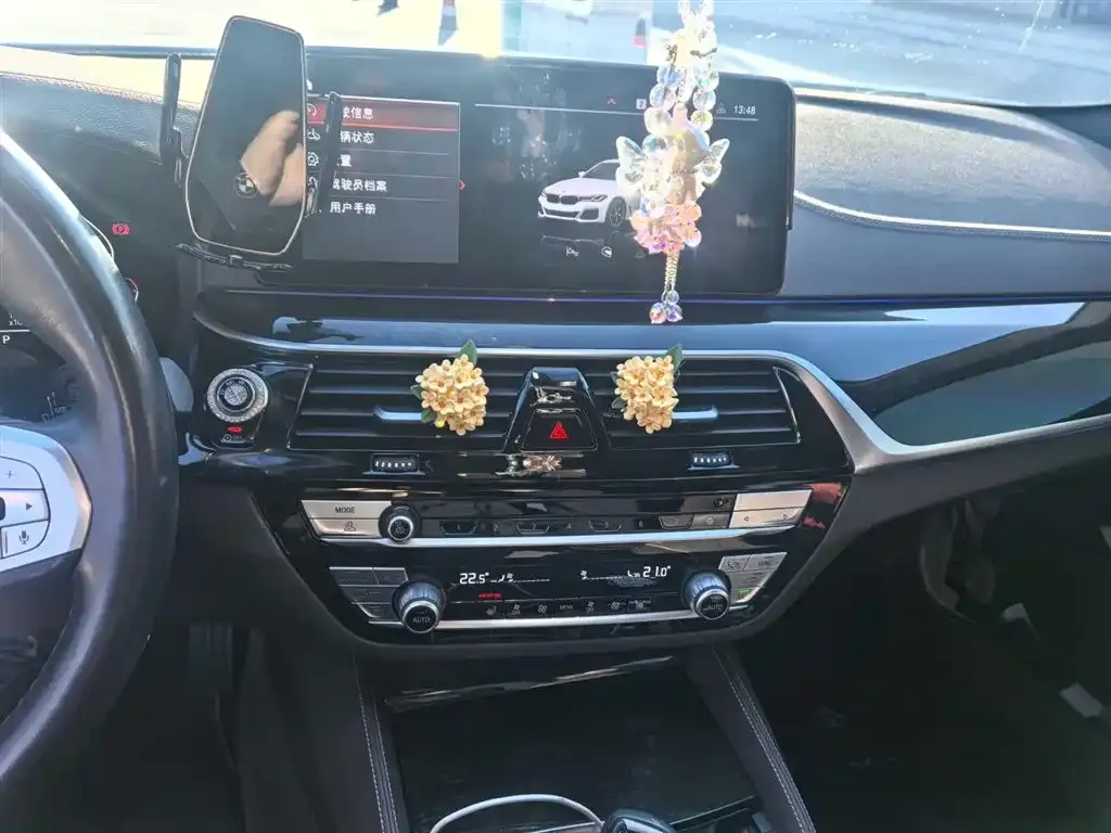 BMW 5 Series 2022 из CN, фото 6